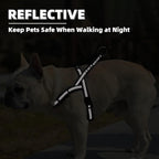 Front chest D-ring attachment point for dog leash