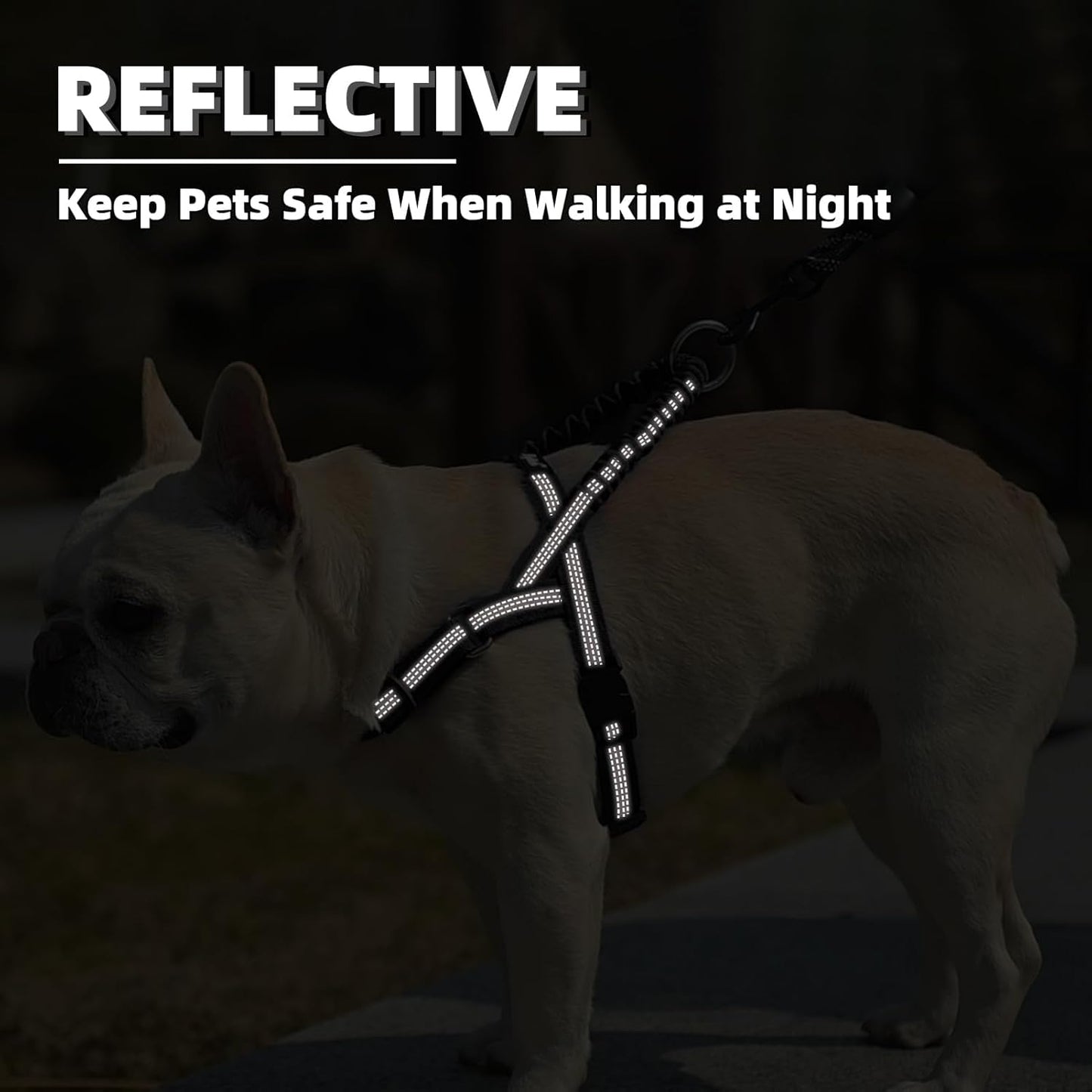 Front chest D-ring attachment point for dog leash