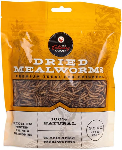 Flukers Culinary Coop premium chicken treats front view bag of high protein dried mealworms.