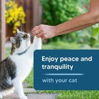 Cat wearing RexezGuardz flea and tick collar for pest protection