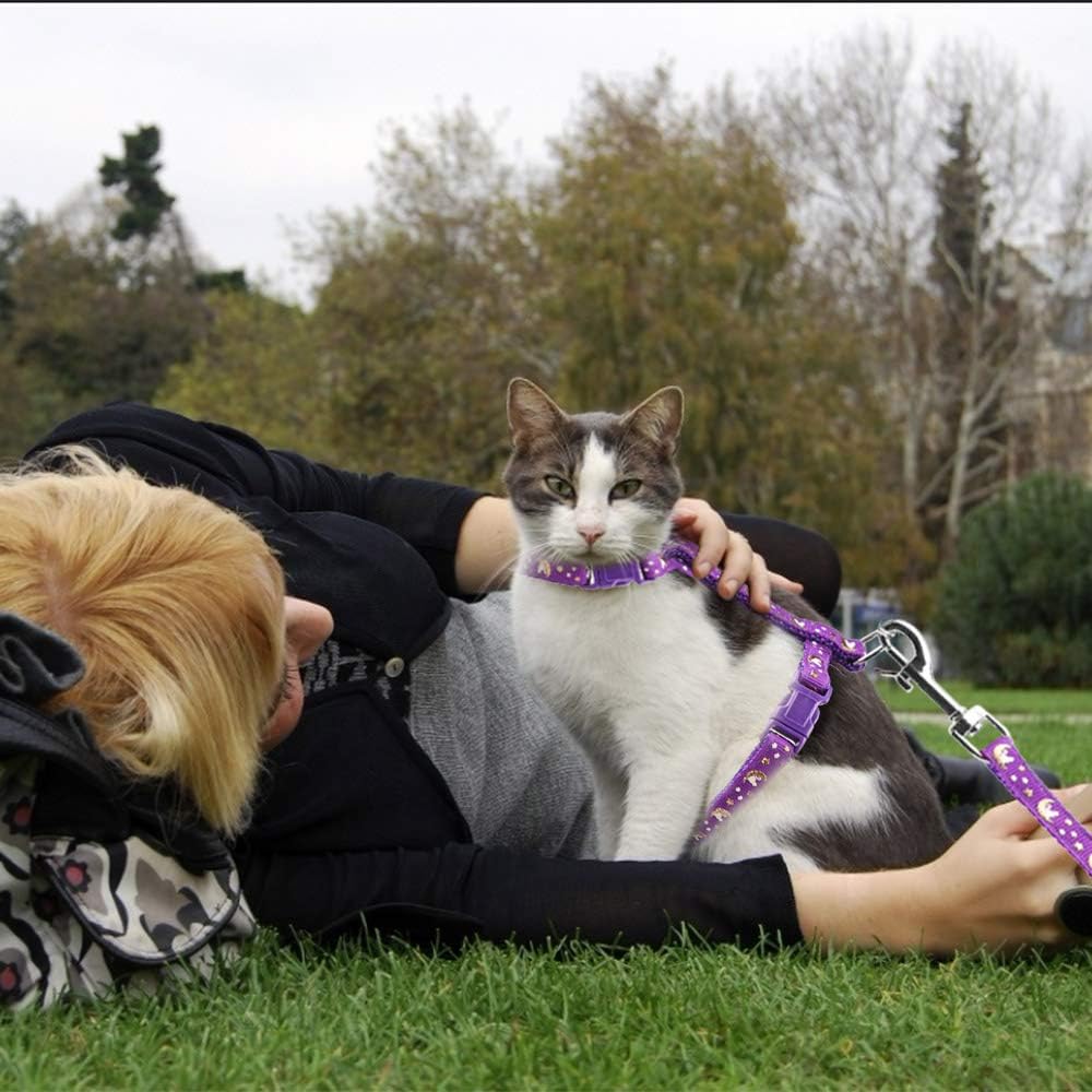 USA imported premium pet harness for outdoor kitten walking and training