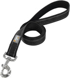 Penseepet six feet black dog leash with nickel plated metal clasp