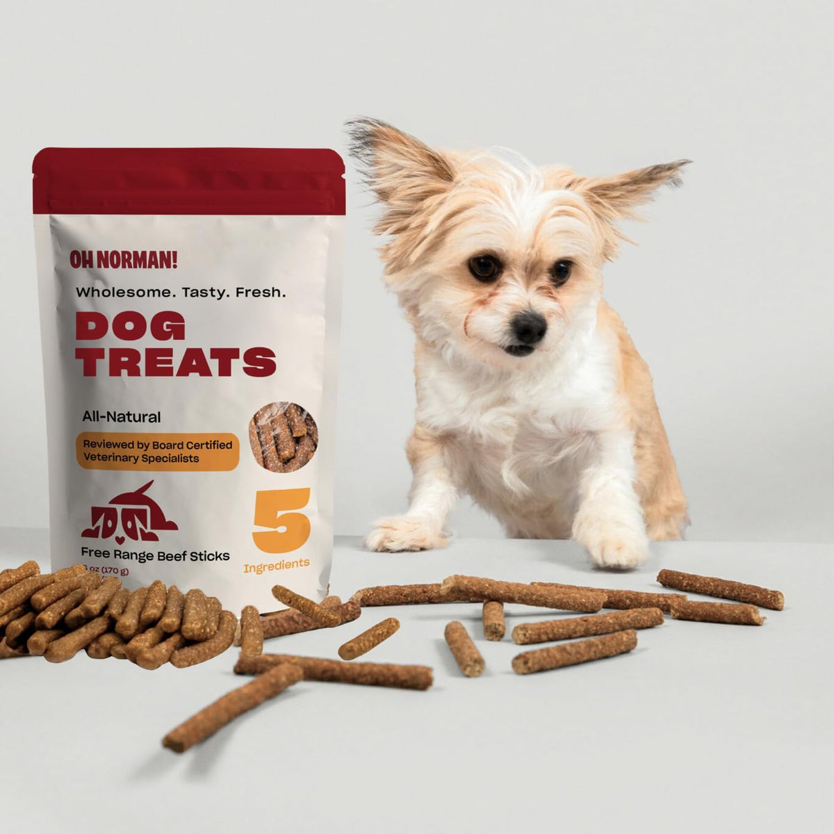 Oh Norman treats in a bowl for dog training