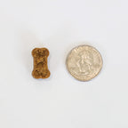 Close up of veterinarian reviewed joint supplement chews for adult dogs