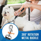 Two dogs secured with Lukovee dual seat belt in car