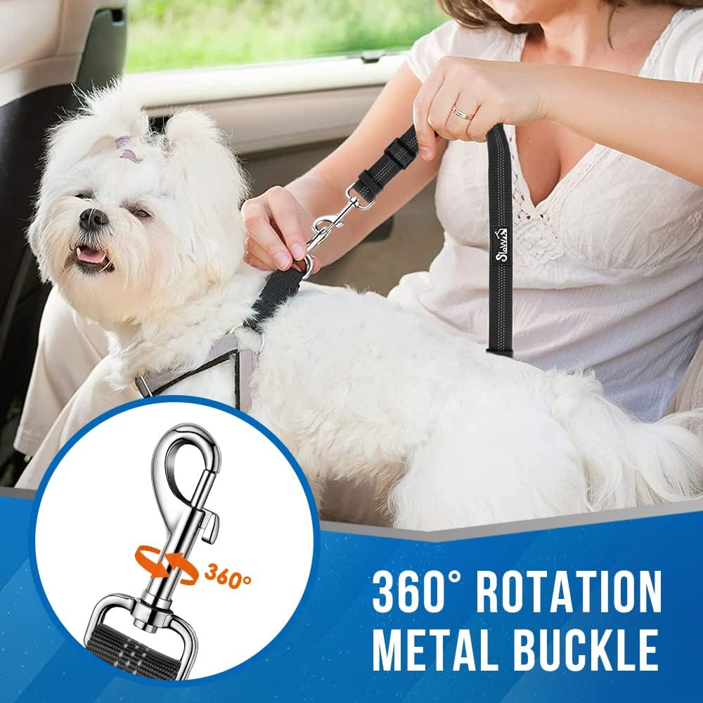 Two dogs secured with Lukovee dual seat belt in car