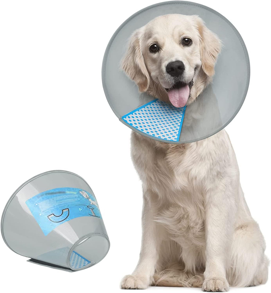 Premium imported USA pet supplies medical recovery collar packaging view