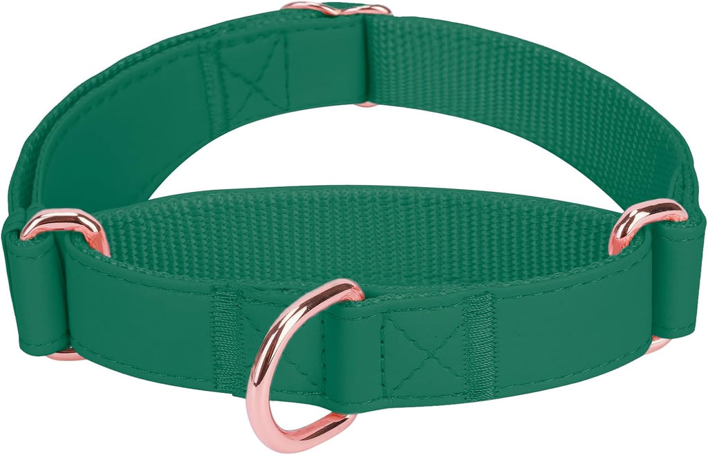 AaufiLux stylish purple pet collar for medium breed dogs