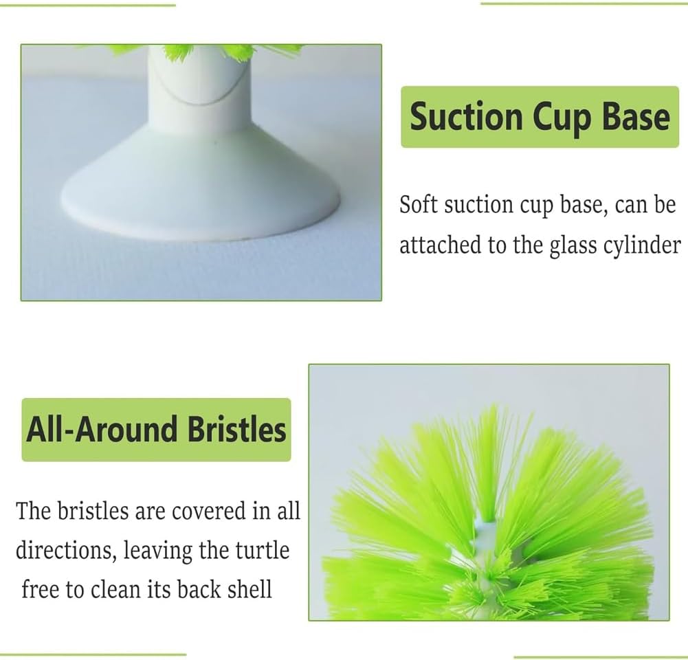 Forzena turtle shell exfoliate brush being used manually to clean tank corners.