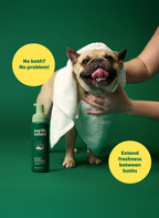 Earth Rated no rinse dog foam pump dispenser bottle for grooming