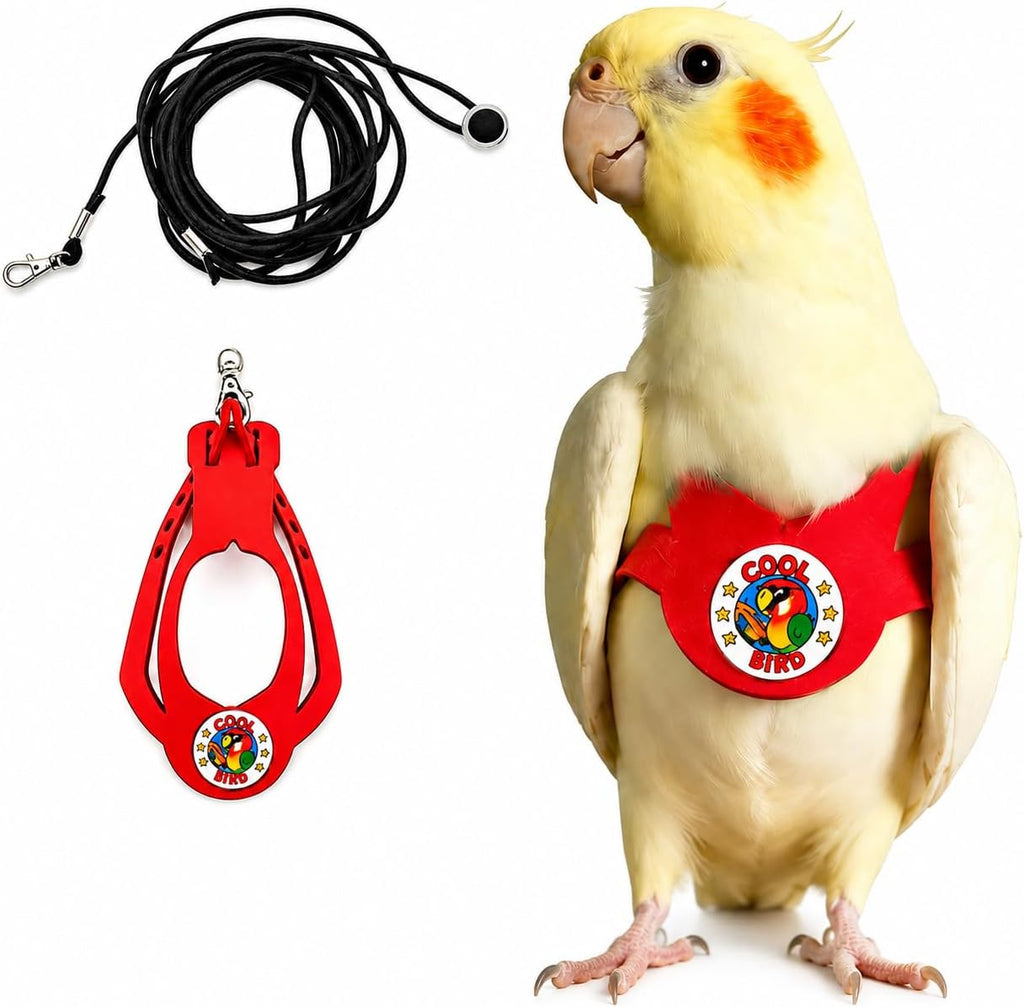 JNCWYP adjustable bird harness and leash set front view on a parrot.
