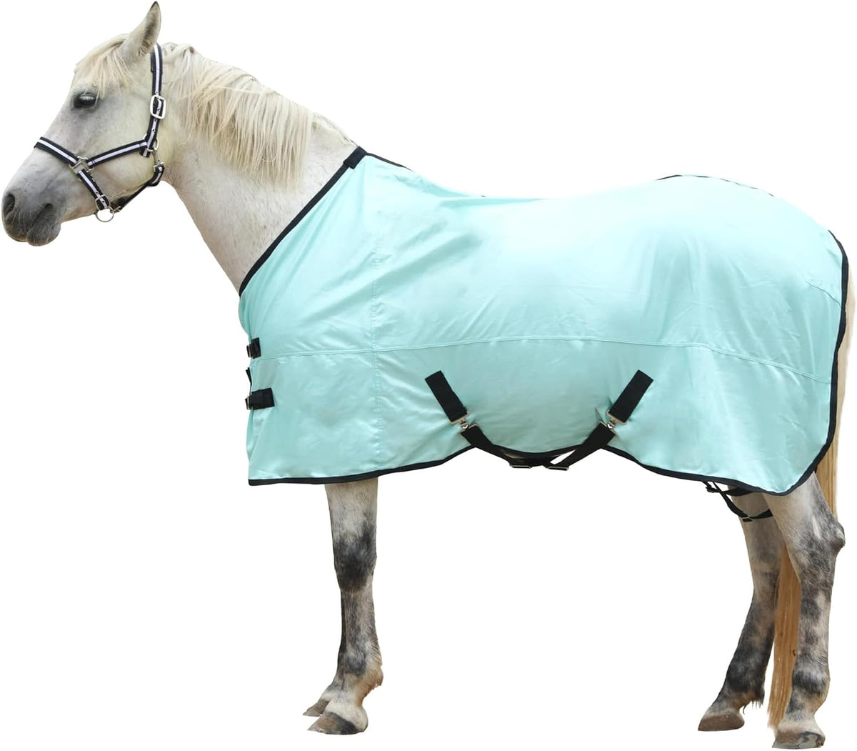 Gallopoff horse fly sheet front view showcasing the green standard neck mesh blanket on a horse.