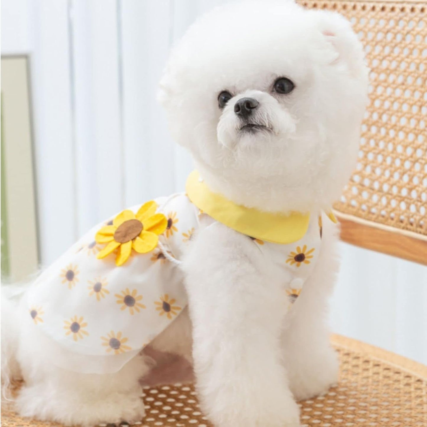 Close up of the elastic neck and sleeve design on pet apparel