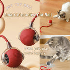 Green smart rolling cat ball for indoor exercise