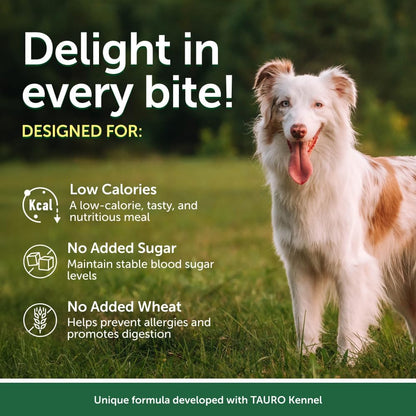 Nature's Protection Tuna and Sea Bass wet dog food pouch side angle