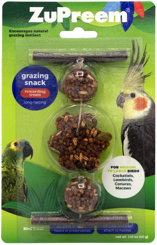 Bird eating ZuPreem Healthy Bites treat during interaction