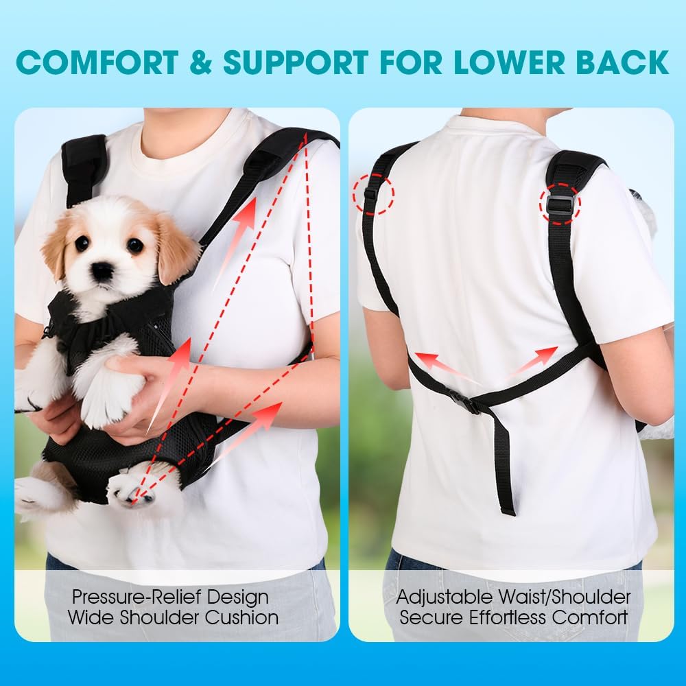 Small dog comfortable inside the Mosago pet travel backpack