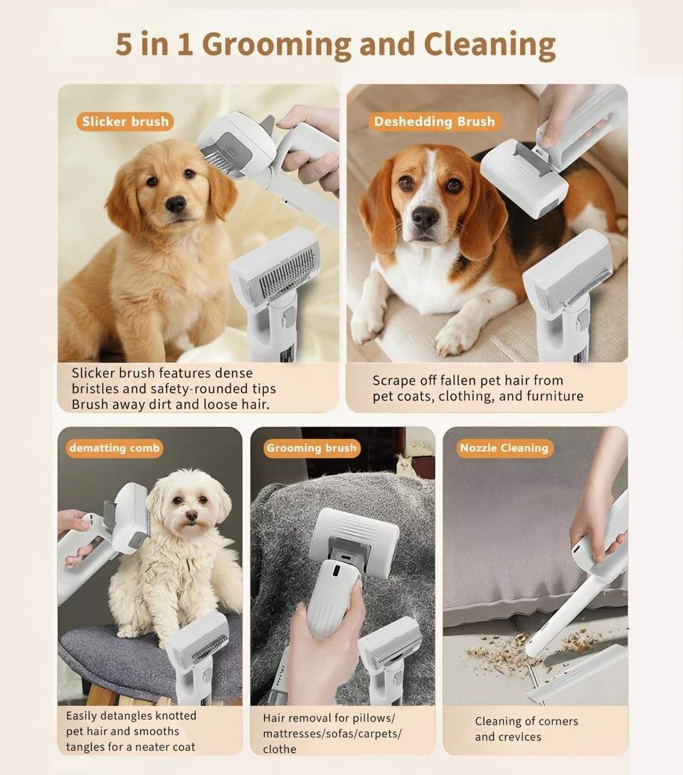 Clear dustbin container displaying collected pet fur from grooming sessions.