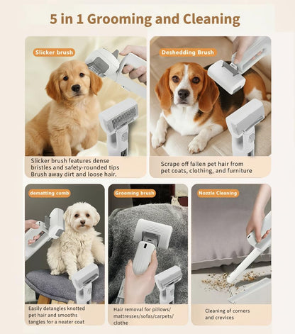 Clear dustbin container displaying collected pet fur from grooming sessions.