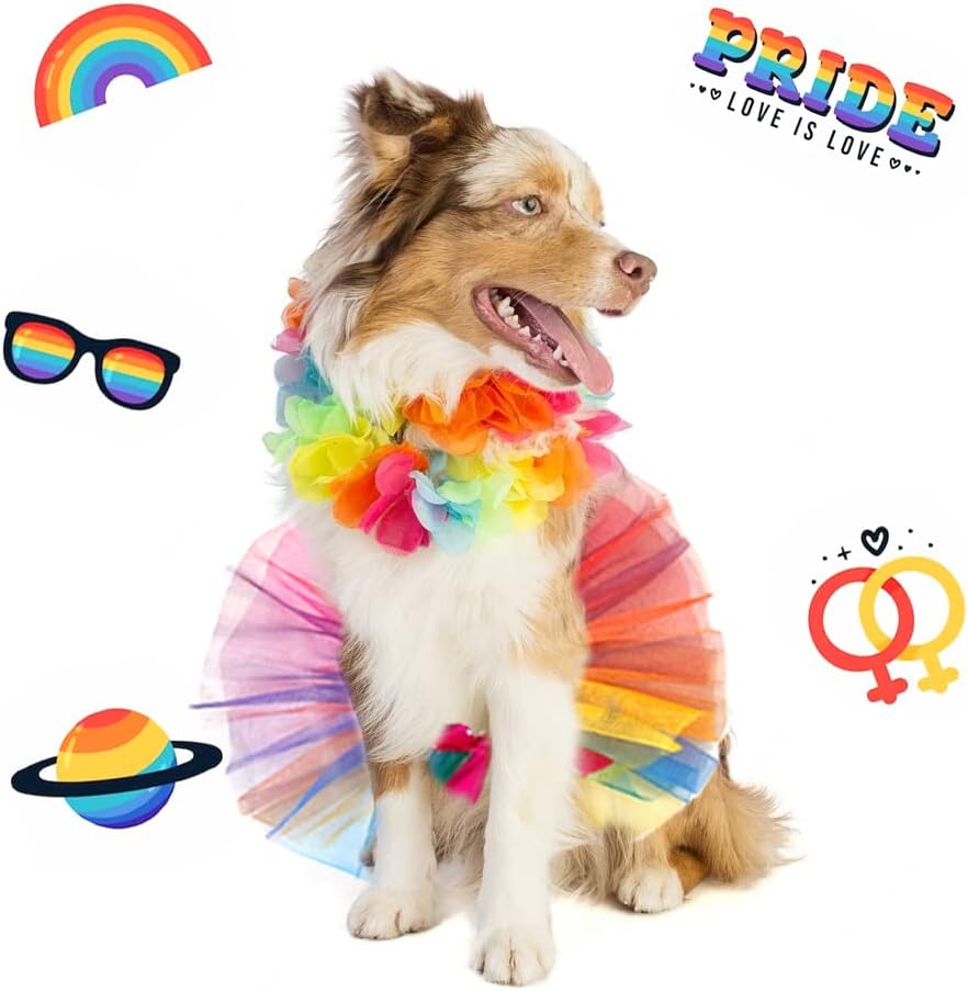Threetols festive pride theme pet costume close up shot