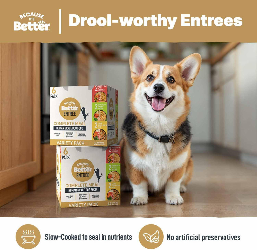 Back of Because Its Better dog food pouch displaying complete meal nutritional information and feeding guidelines