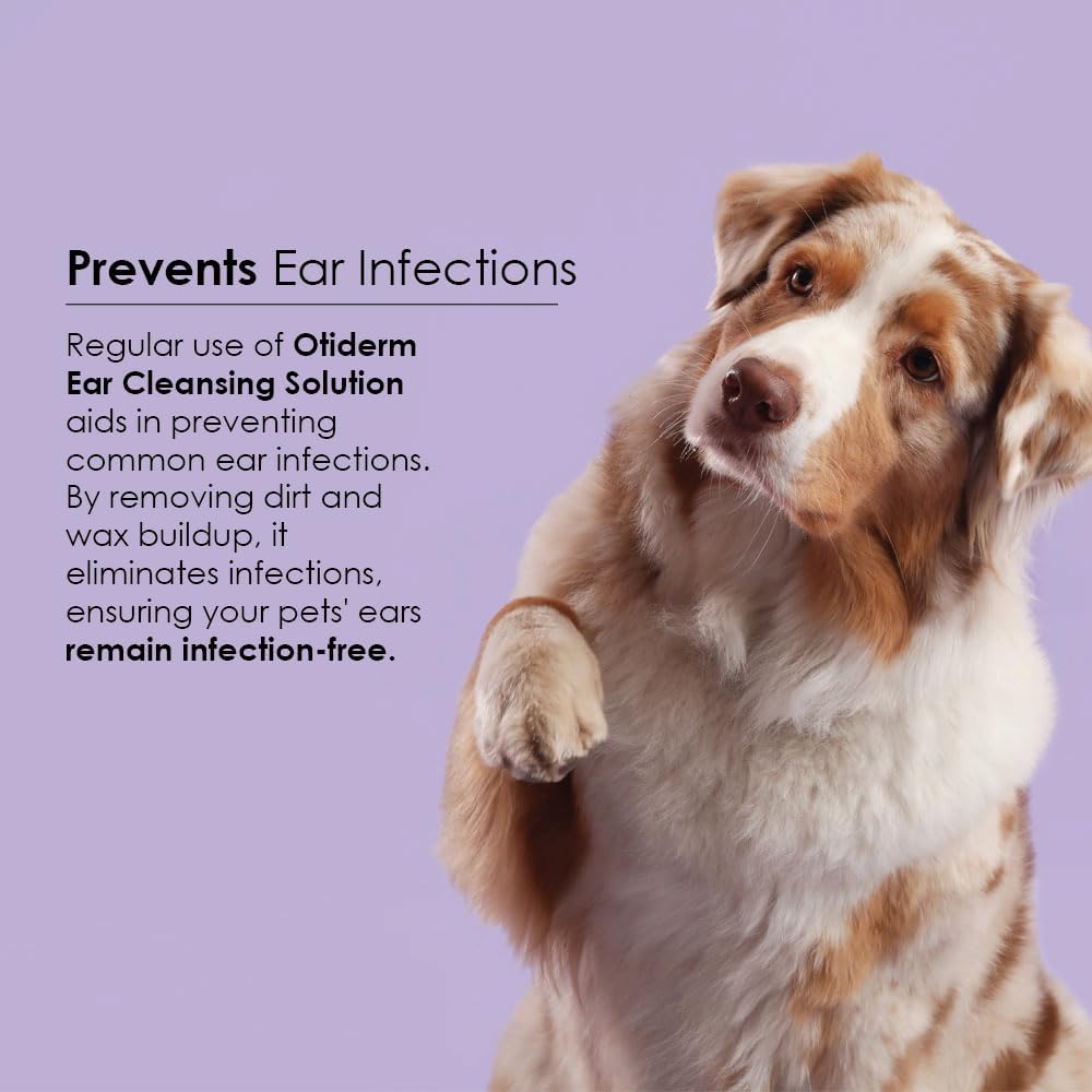 Otiderm ear cleansing liquid packaging in upright position