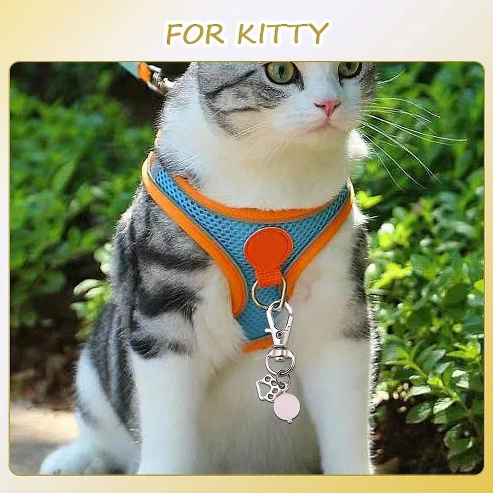 Ancnoz crystal cat pendant attached to a pet collar.
