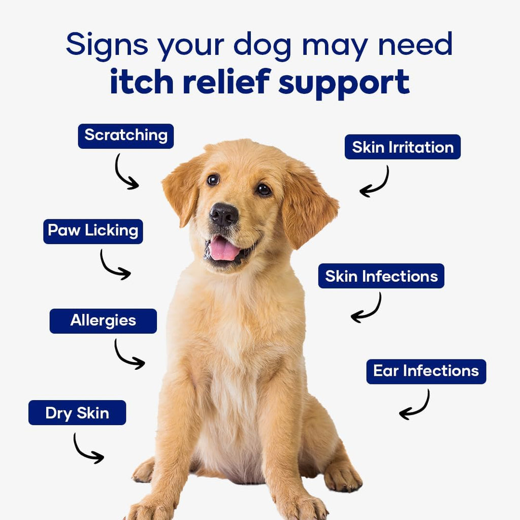Premium anti itch chewable supplements for pets experiencing hot spots and seasonal allergy symptoms.