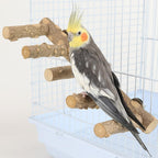 Bird Parrot Ladder Perch for Cage, Nature Wooden Bird Bridge Exercise Stands Parrot Climbing Chewing Toys for Small Animal - Image 1