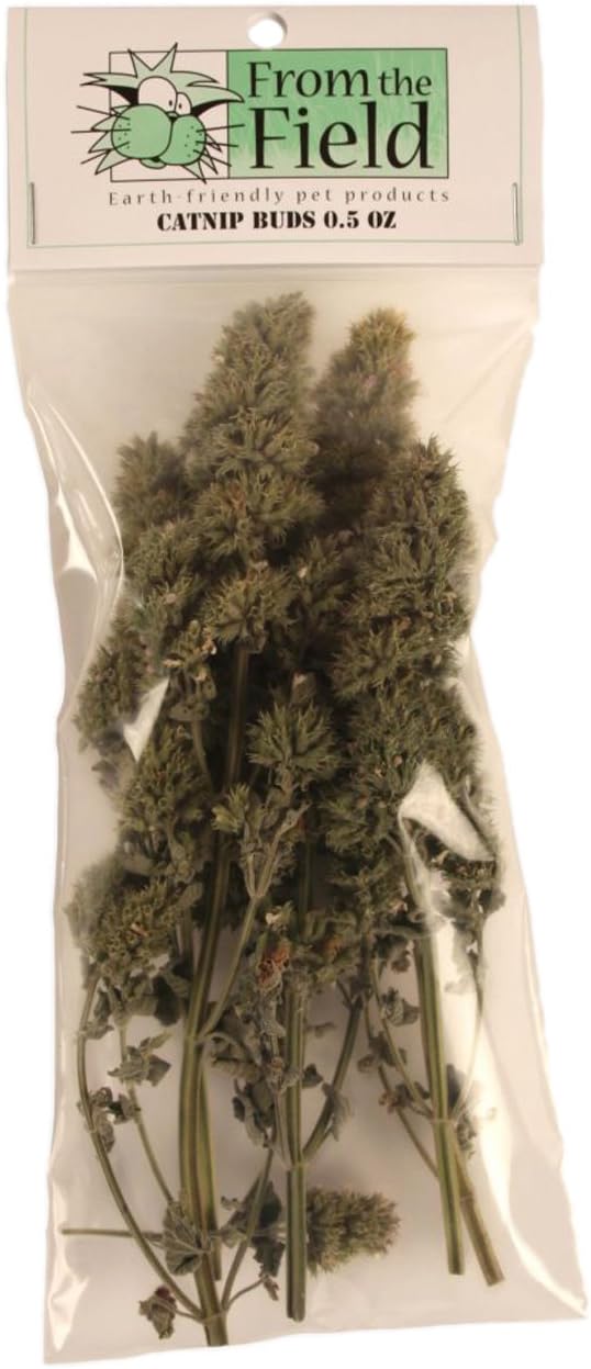 Resealable plastic tub showing clear product labeling and net weight details.
