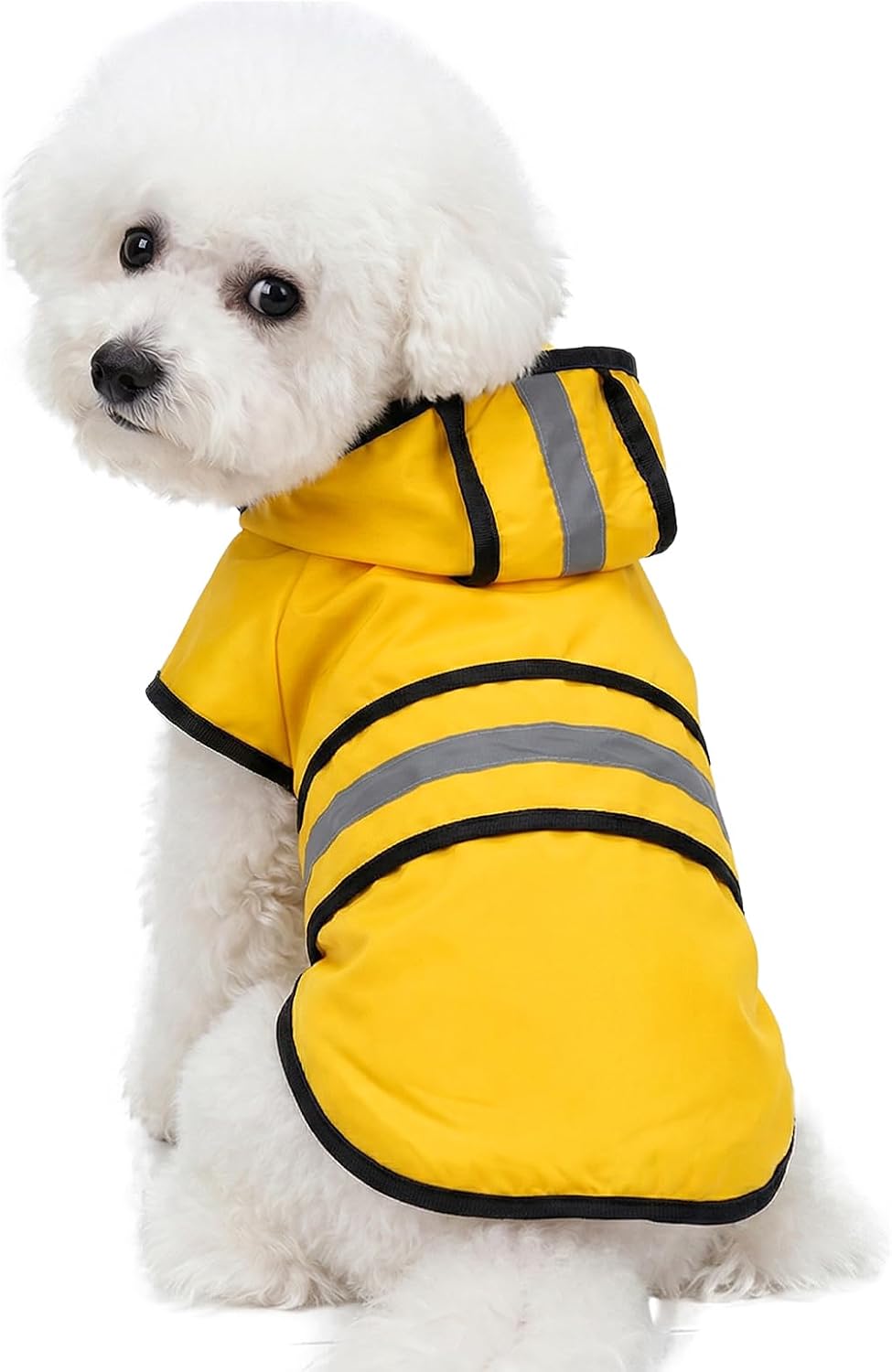 Choyaxo dog raincoat front view of the yellow waterproof jacket on a small dog.