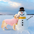 Authentic USA imported Mihachi dog jacket for winter season
