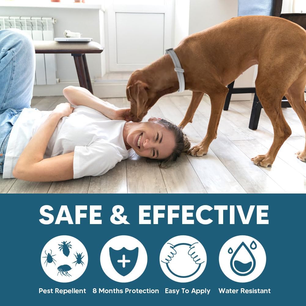 Water-resistant UDyoude flea collar for large dogs