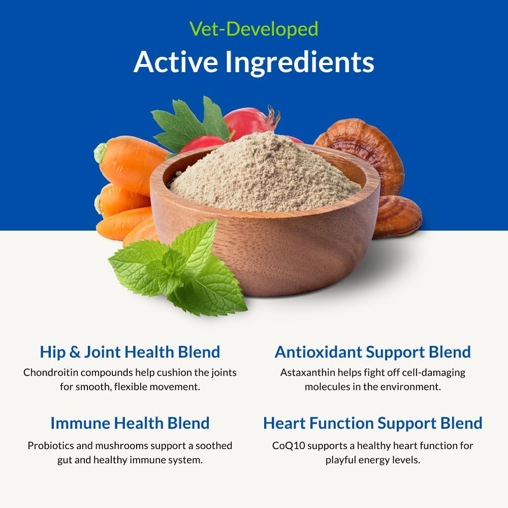 Bacon flavored Nutra Thrive dog supplement powder being sprinkled over pet food