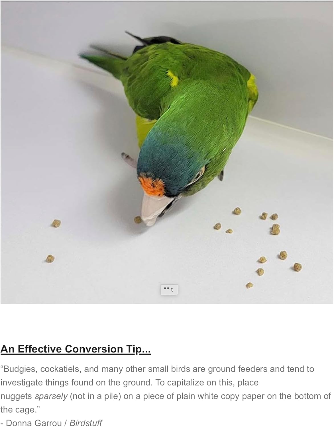Harrison's Bird Foods Bird Food Adult Lifetime Fine Certified Organic Non-GMO Formula Bird Food 1lb - Image 7