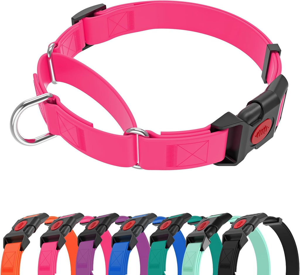 Safety quick release buckle on purple martingale training collar