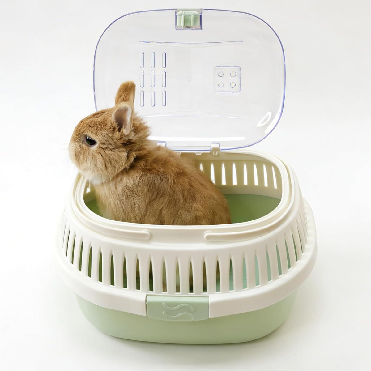 Hamster Carrier Guinea Pig Carrier 13 X 11 X 8 In Portable Hamster Travel Cage with Ventilation Holes Outdoor Small Animal Carrier for Rat Gerbils Rabbit Hedgehog Squirrel Mouse Sugar Glider - Image 9