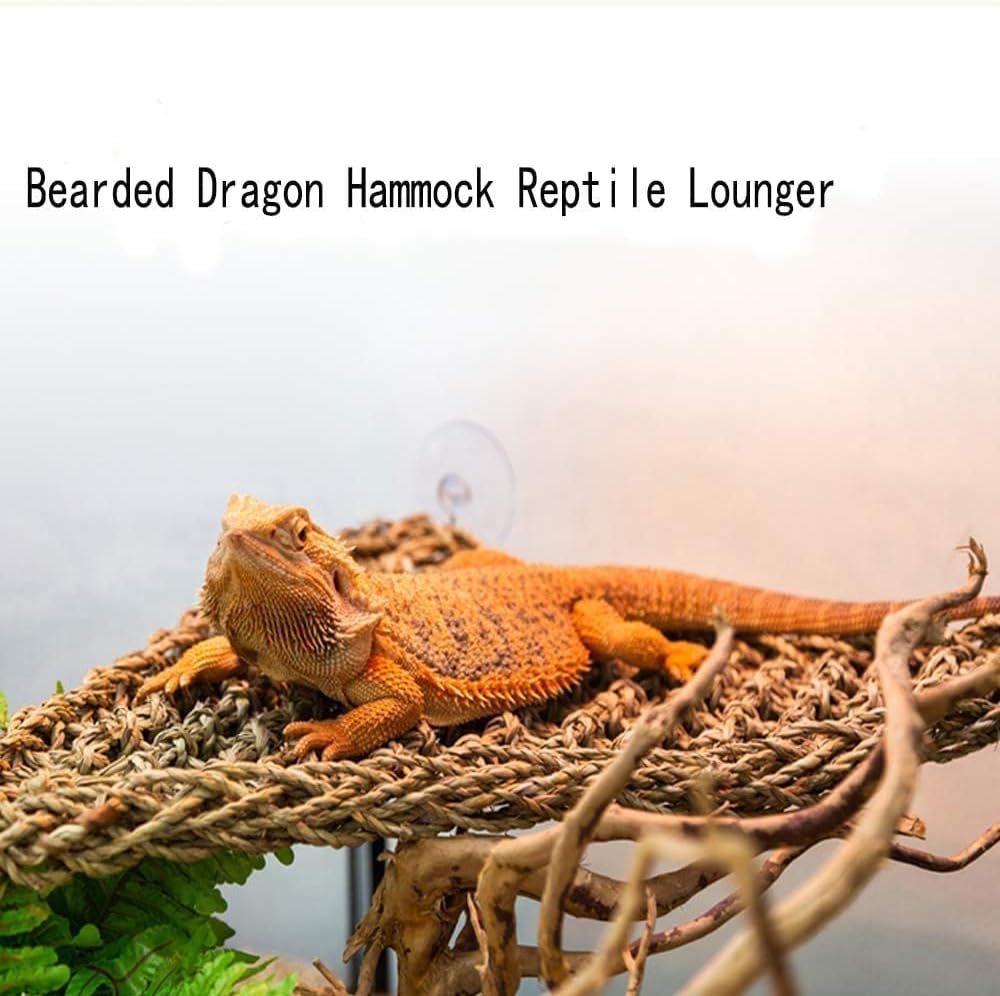 Gecko resting on Kathson seagrass hanging lounge accessory