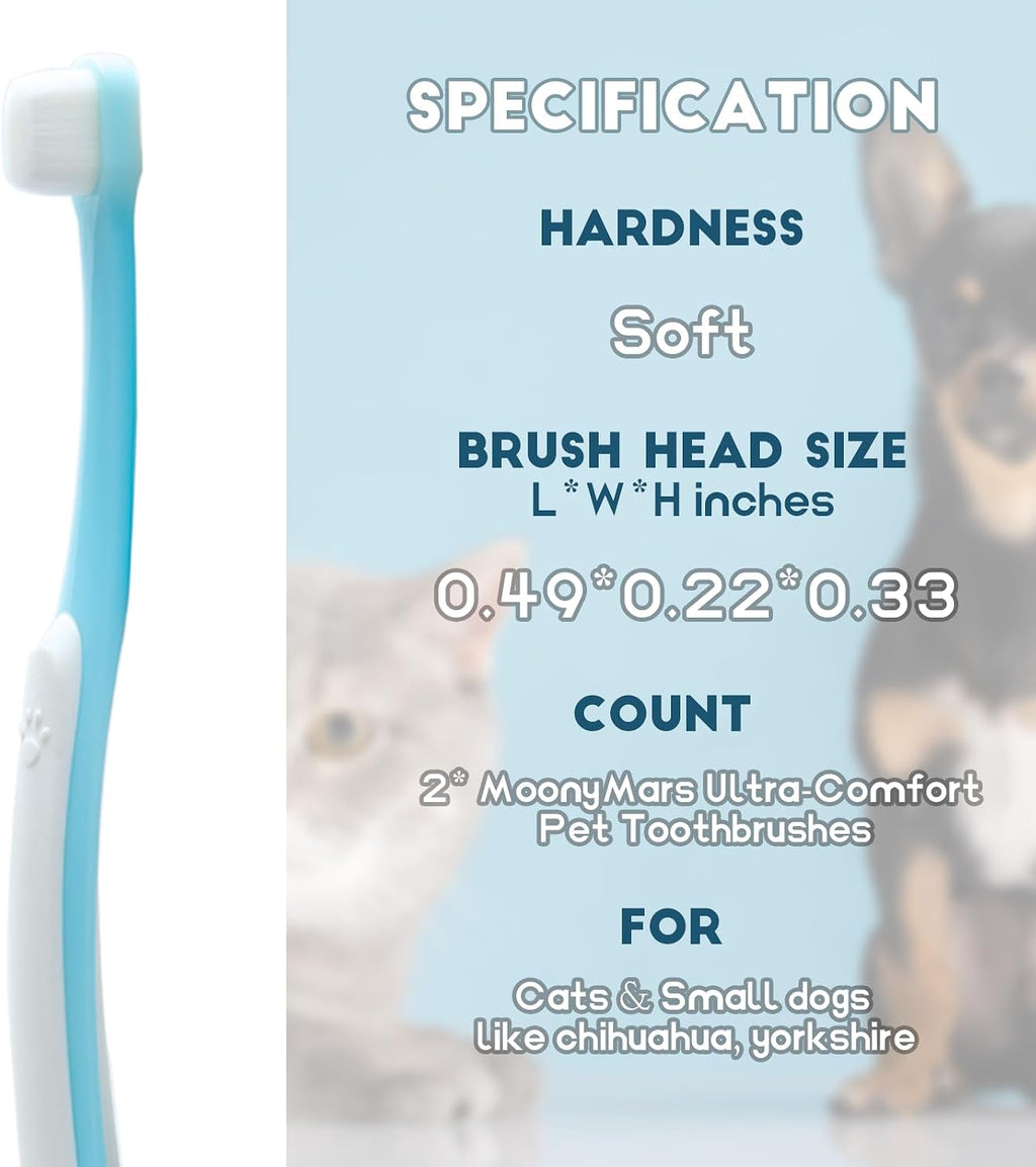 Pet owner using MoonyMars toothbrush on small dog
