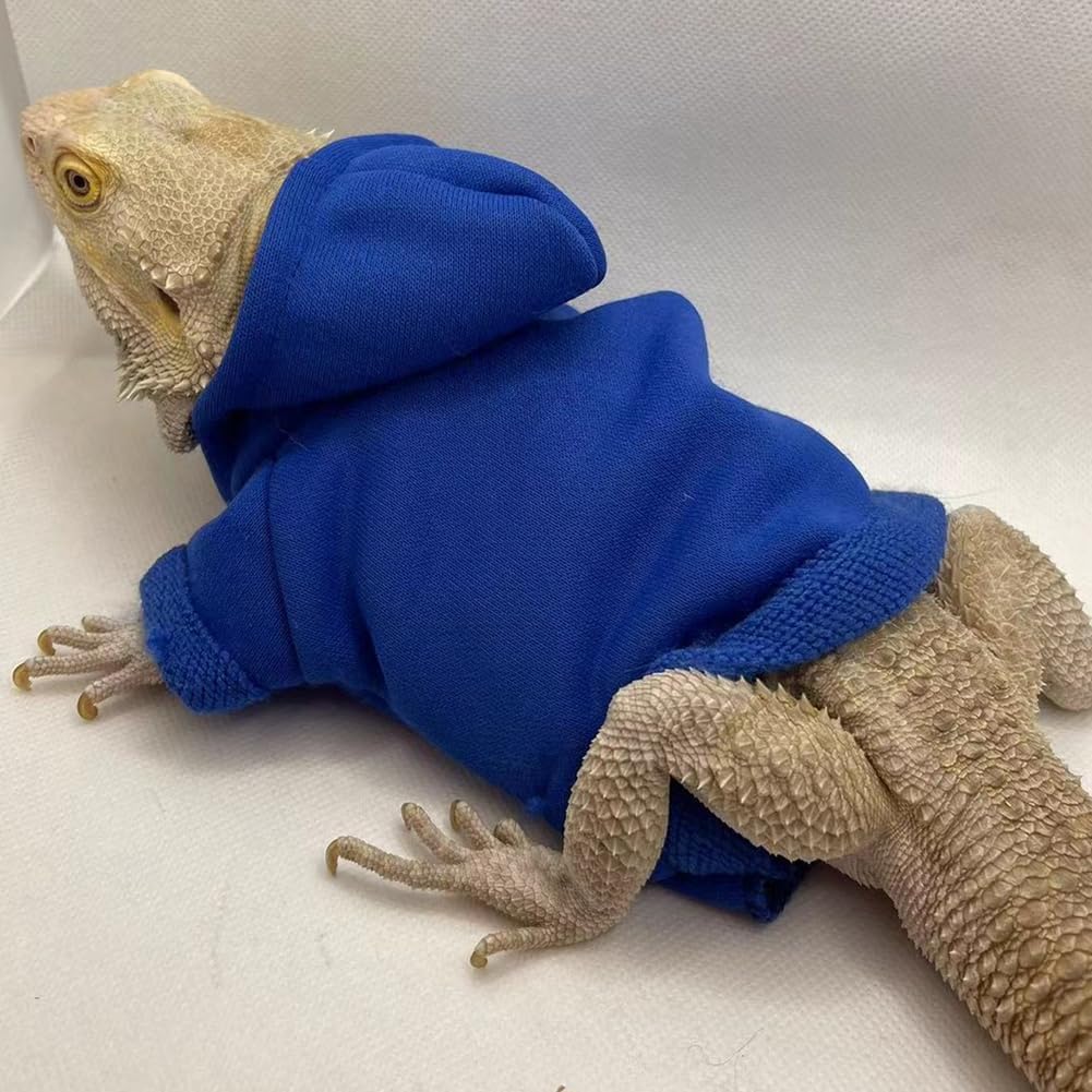 Haichen Tec pure blue reptile sweater side angle view