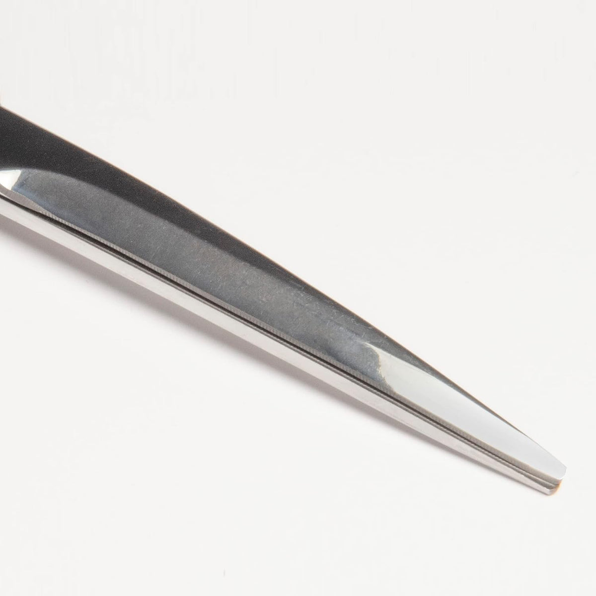 Close-up of the 6.5 inch stainless steel curved blade tips
