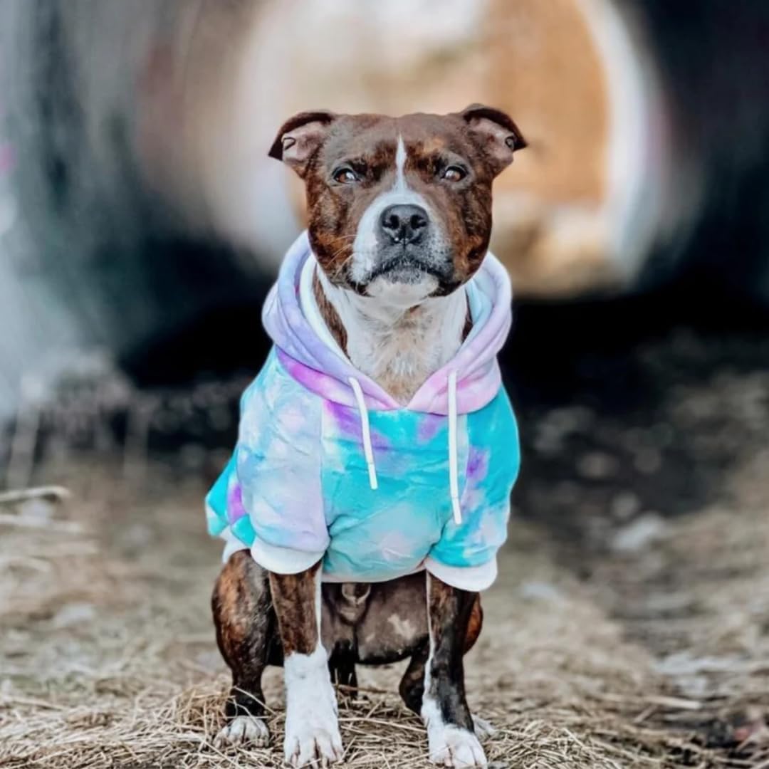 Spark Paws pet sweatshirt highlighting the discrete leash opening on the back.