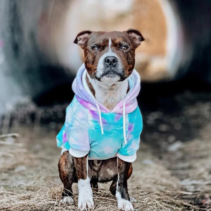 Spark Paws pet sweatshirt highlighting the discrete leash opening on the back.
