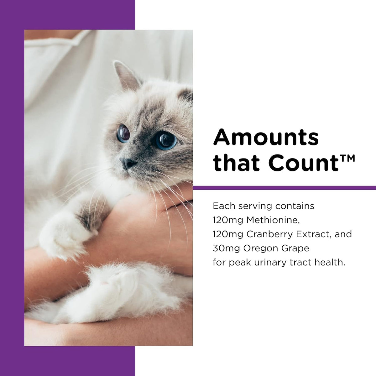 Nutri-Vet cat paw gel showing active ingredients and salmon flavor