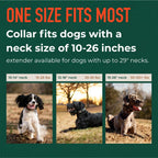 SpotOn GPS pet collar close up highlighting the durable waterproof casing and charging ports.