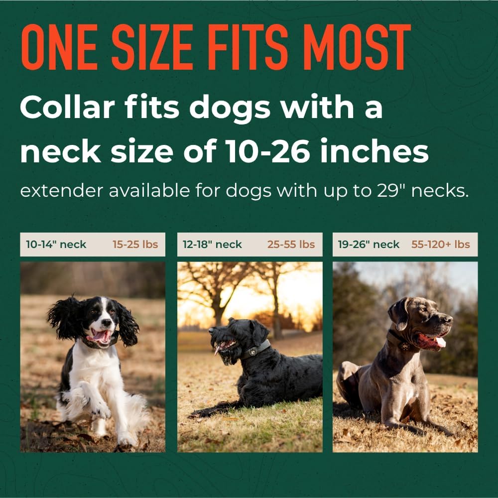 SpotOn GPS pet collar close up highlighting the durable waterproof casing and charging ports.