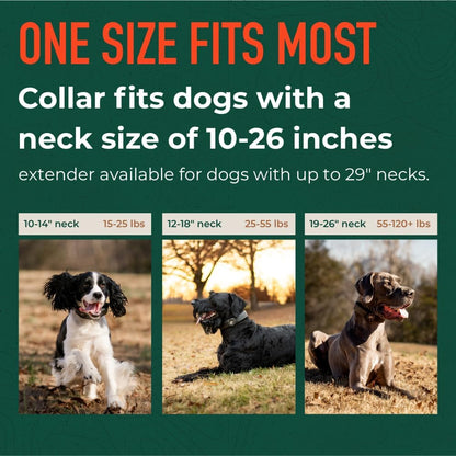 SpotOn GPS pet collar close up highlighting the durable waterproof casing and charging ports.