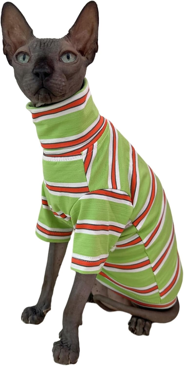 Back view of kitten wearing vintage stripe hairless cat apparel
