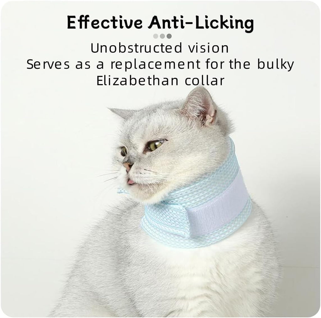 Soft cervical cone for small dogs showing the lightweight sponge layer.