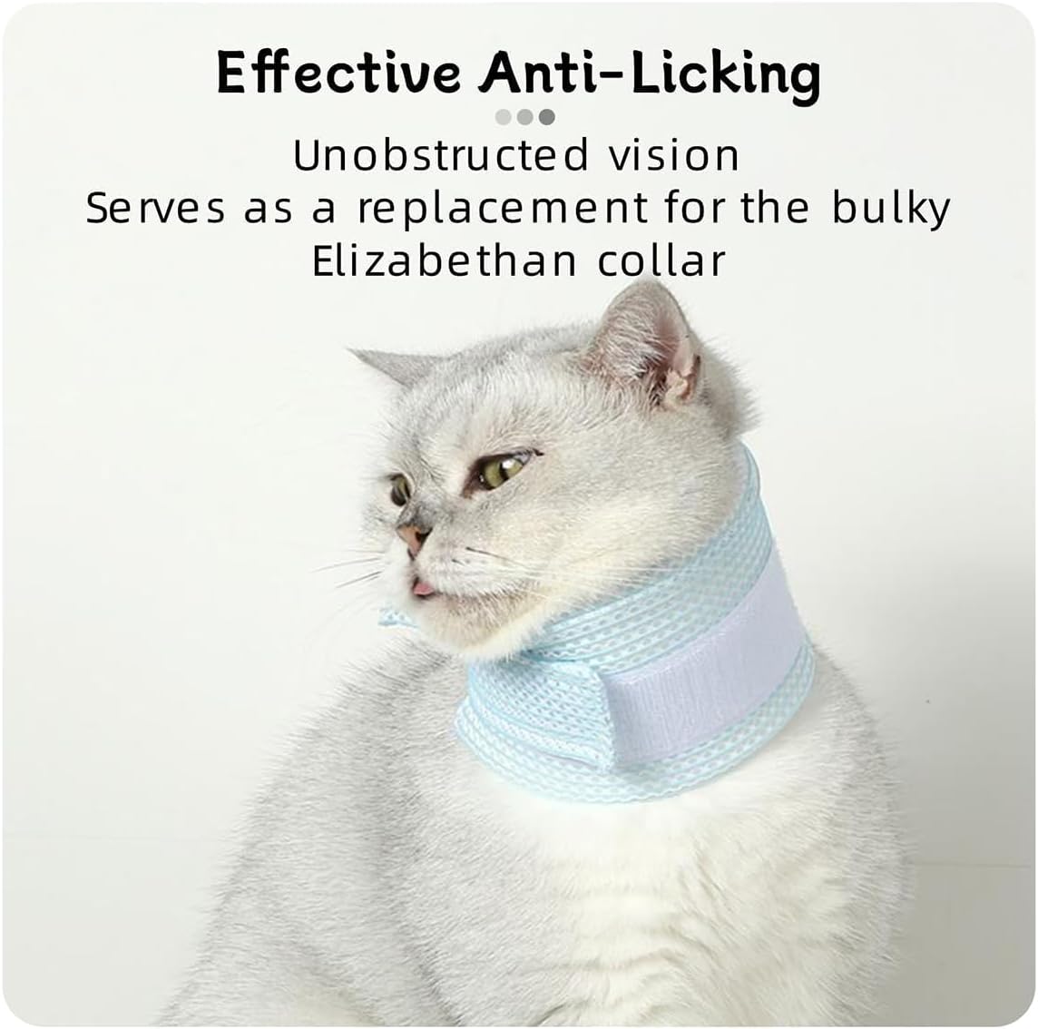 Soft cervical cone for small dogs showing the lightweight sponge layer.